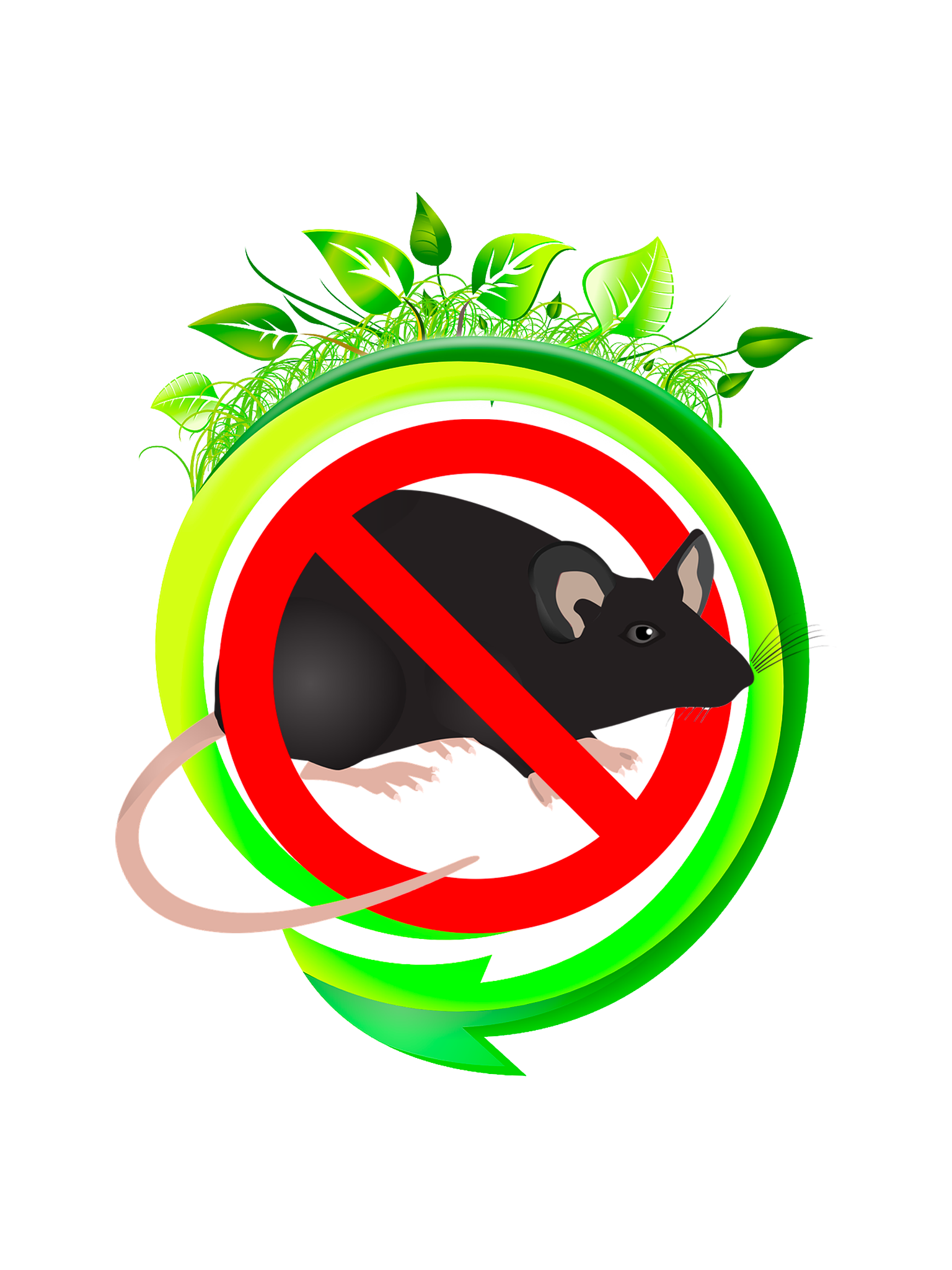 pulizie professionali e sanificazione ambientale - derattizzazione ecologica